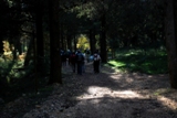 Clicca qui per vedere l'immagine in dettaglio